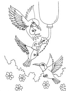 Free Printable Hummingbird Coloring Pages For Kids