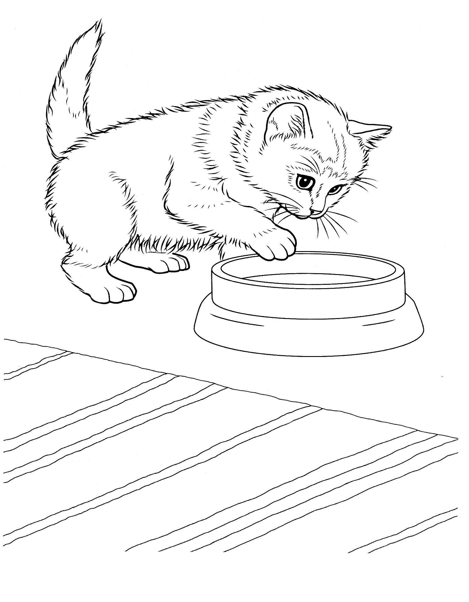 Free Printable Kitten Coloring Pages For Kids Best Coloring Pages For 