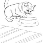 Free Printable Kitten Coloring Pages For Kids Best Coloring Pages For