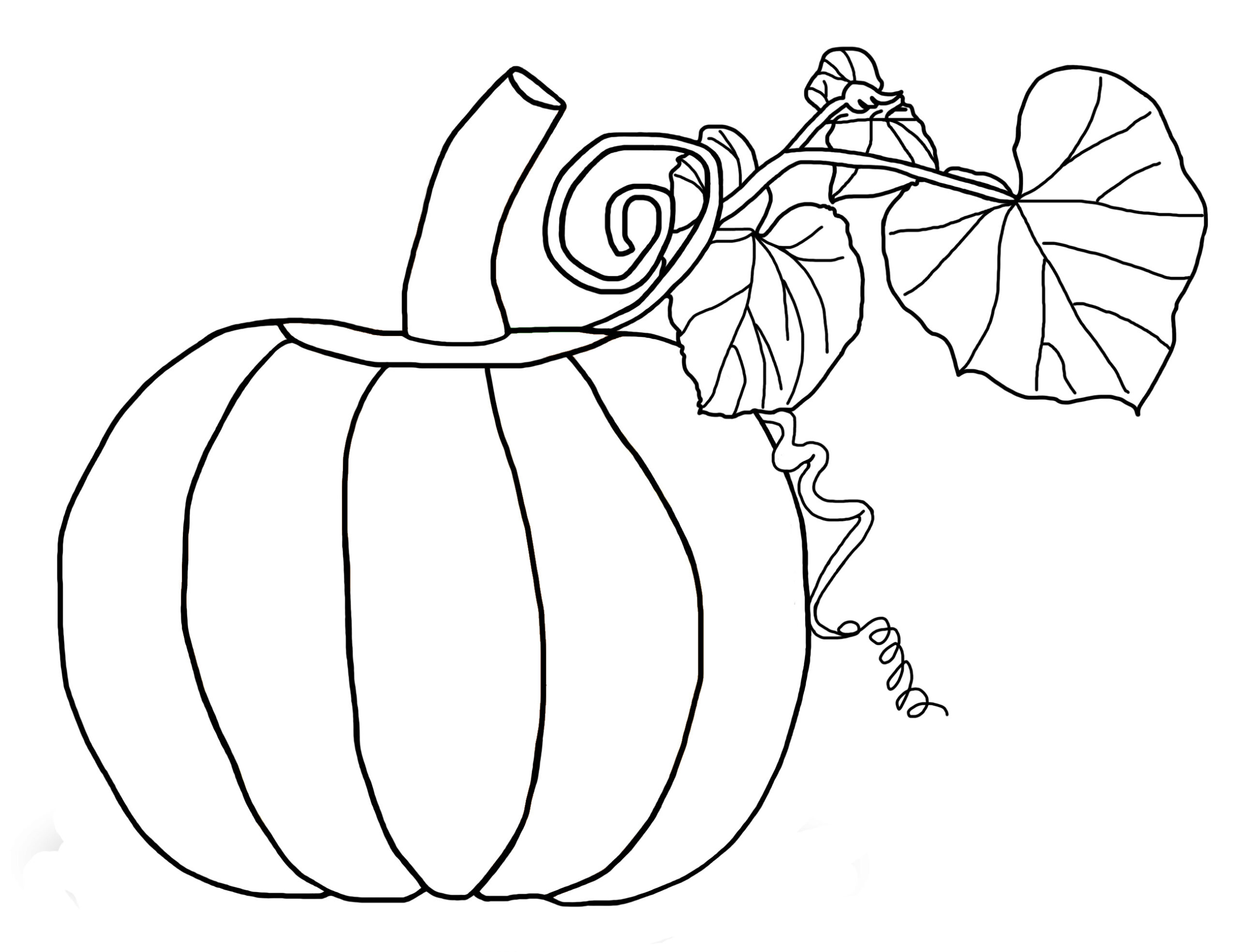 Free Printable Coloring Pictures Of Pumpkins Printable Pictures