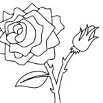 Free Printable Roses Coloring Pages For Kids