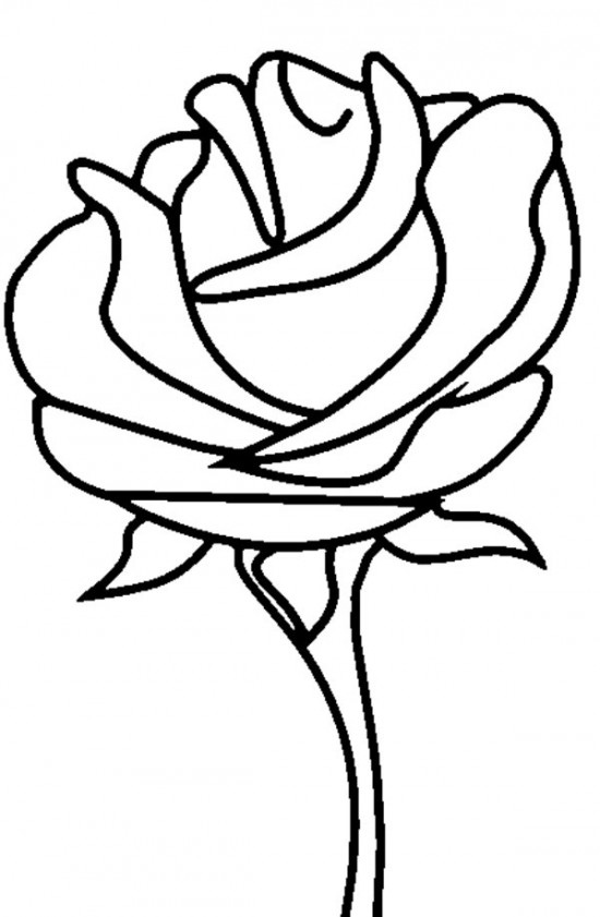 Printable Pictures Of Rose Flowers