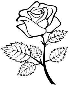 Free Printable Roses Coloring Pages For Kids