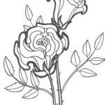 Free Printable Roses Coloring Pages For Kids