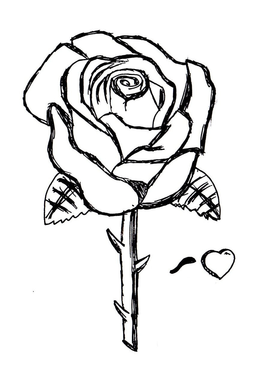 Pictures Of Roses To Color And Print