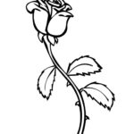 Free Printable Roses Coloring Pages For Kids