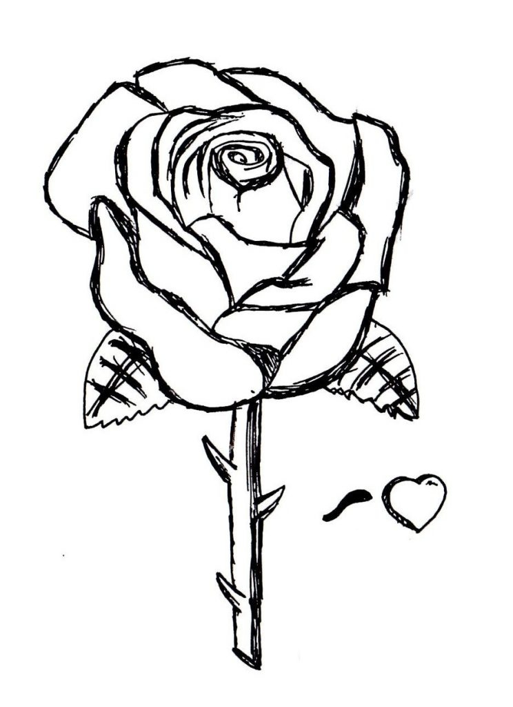 Printable Pictures Of Roses