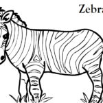 Free Printable Zebra Coloring Pages For Kids