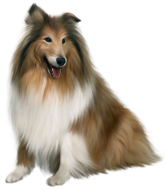 Free Real Dog Cliparts Download Free Real Dog Cliparts Png Images 