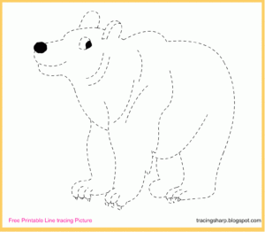 Free Tracing Line Printable Bear Tracing Picture