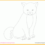 Free Tracing Line Printable Cat Tracing Picture