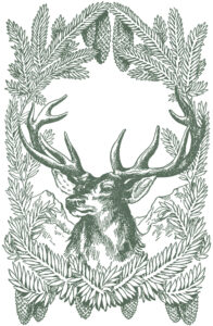 Free Vintage Christmas Pictures Deer The Graphics Fairy