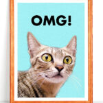 Funny Cat Printable OMG Cute Surprised Cat LOL Cat Cat Printable