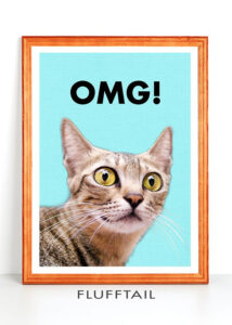 Funny Cat Printable OMG Cute Surprised Cat LOL Cat Cat Printable
