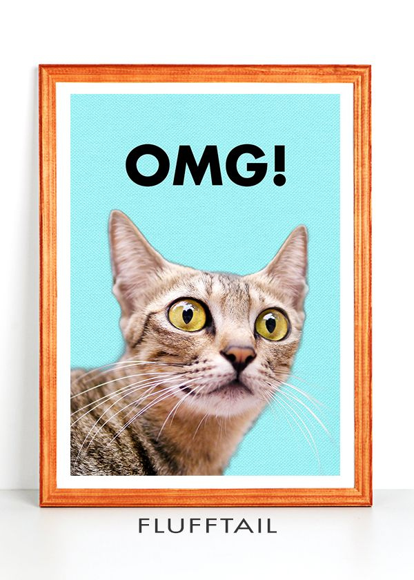 Funny Cat Printable OMG Cute Surprised Cat LOL Cat Cat Printable 