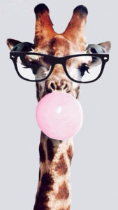 Giraffe Wearing Glasses Blowing Bubble Gum Art Print By ArtbyCPolidano