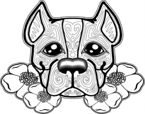 Hard Coloring Pages Of Dogs At GetColorings Free Printable