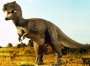 HD Dinosaur Wallpapers Pictures For Desktop Free Download