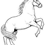 Horse Color Sheet To Print Out Kiddo Shelter Horse Coloring Pages