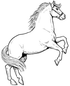 Horse Color Sheet To Print Out Kiddo Shelter Horse Coloring Pages