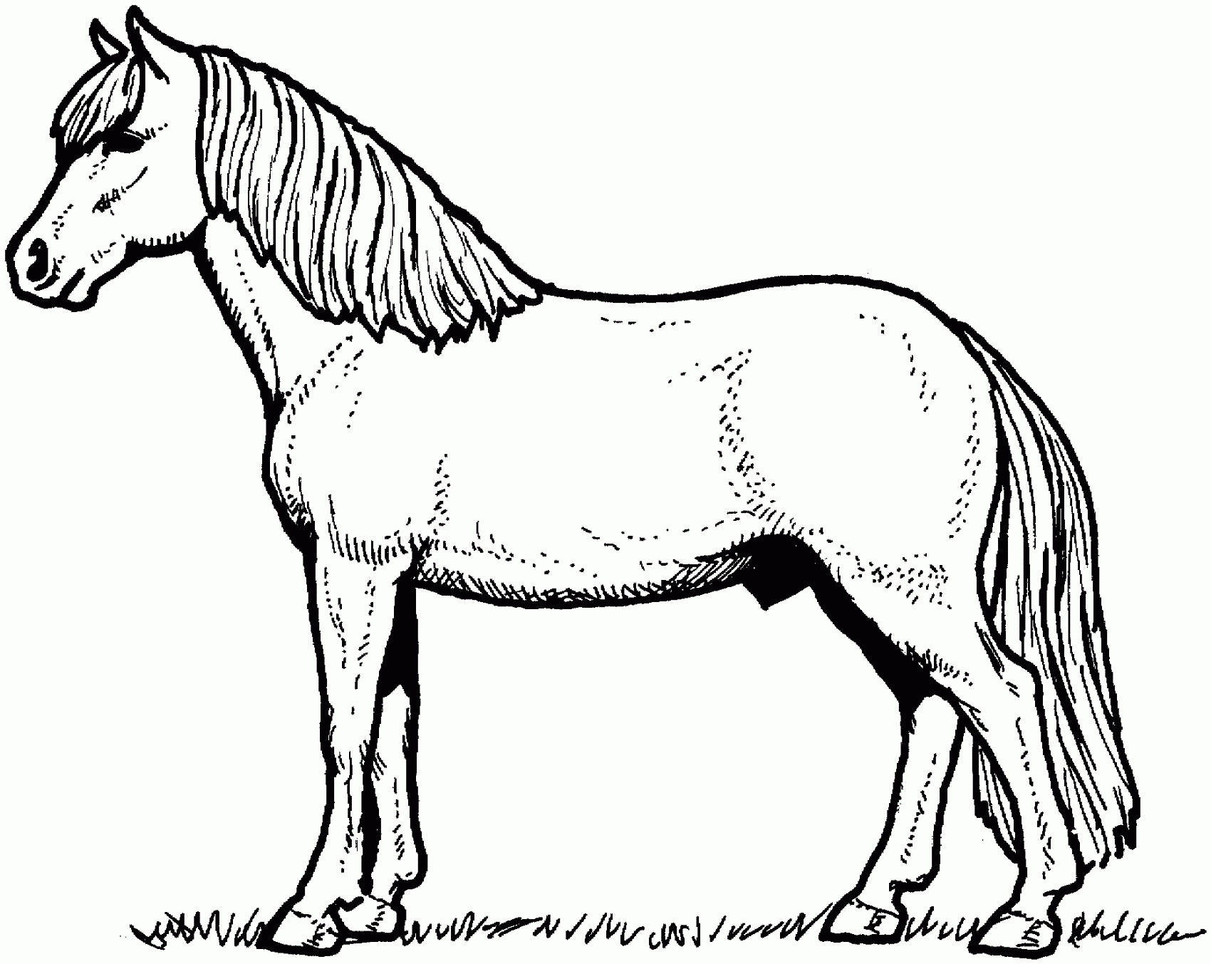 Horse Color Sheets For Children Activity Shelter