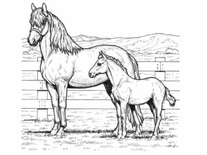 Horse Coloring Pages For Kids Coloring Pages For Kids