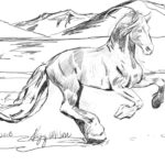 Horse Coloring Pages Hard Coloring Home