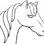 Horse Head Coloring Pages At GetColorings Free Printable