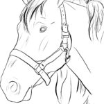 Horse Head Coloring Pages To Print Google Search Horse Coloring