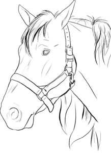 Horse Head Coloring Pages To Print Google Search Horse Coloring