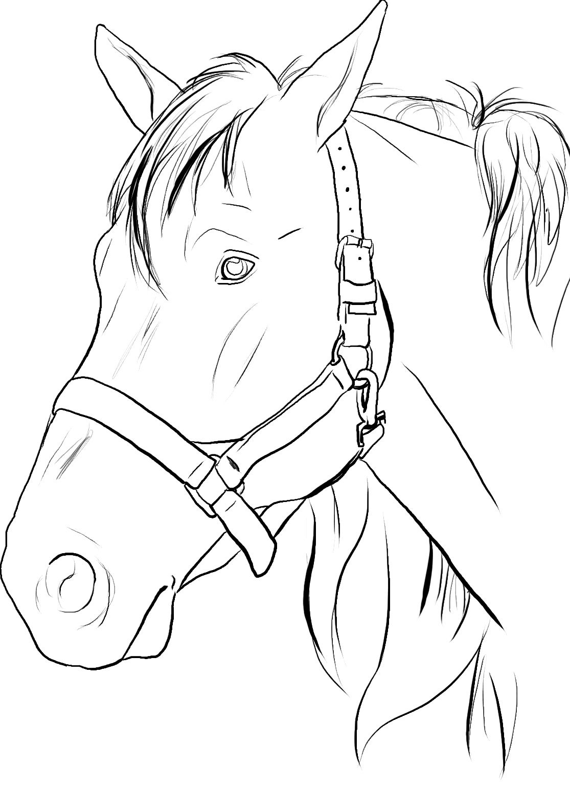 Horse Head Coloring Pages To Print Google Search Horse Coloring 