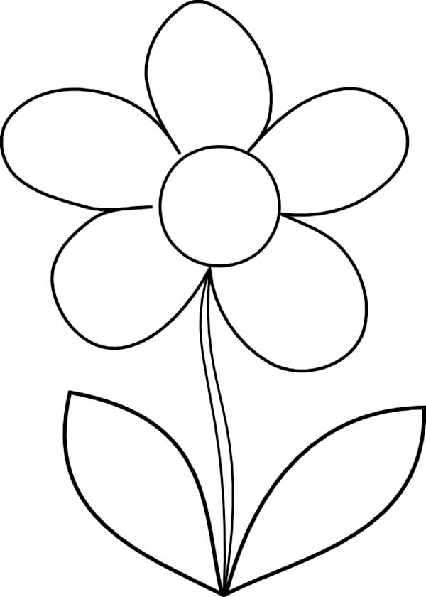 How To Draw Daisy Flower Coloring Page Download Print Online 