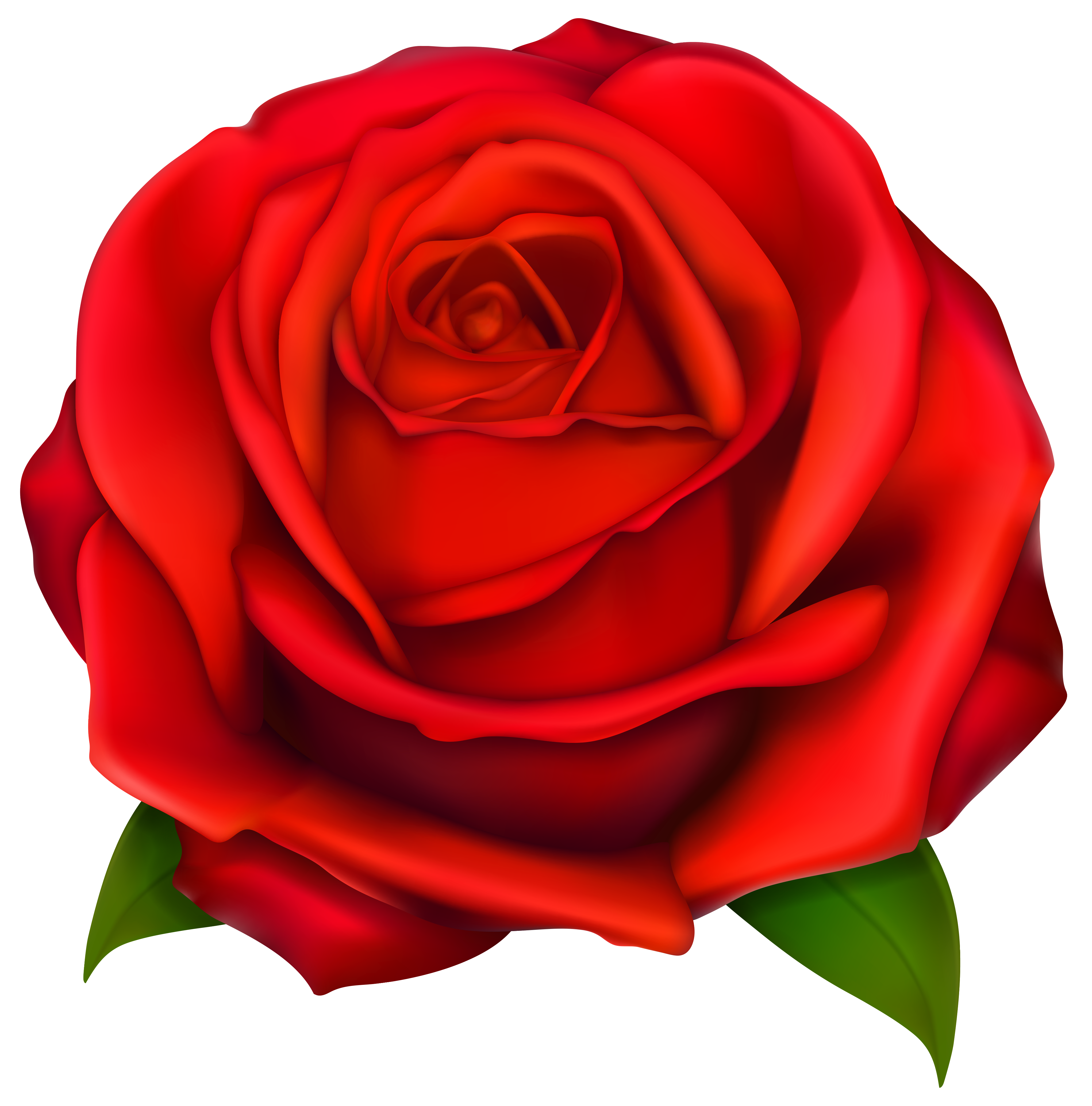 Image Of Clip Art Red Rose 7092 Red Roses Clip Art Images Free 