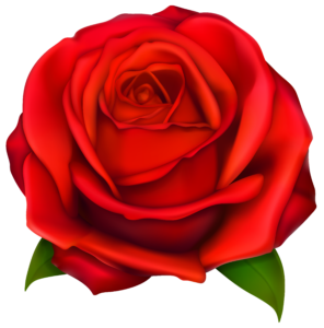 Image Of Clip Art Red Rose 7092 Red Roses Clip Art Images Free