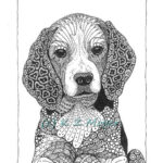 Image Result For Beagle Coloring Zentangle Zentangle Animals Mandala