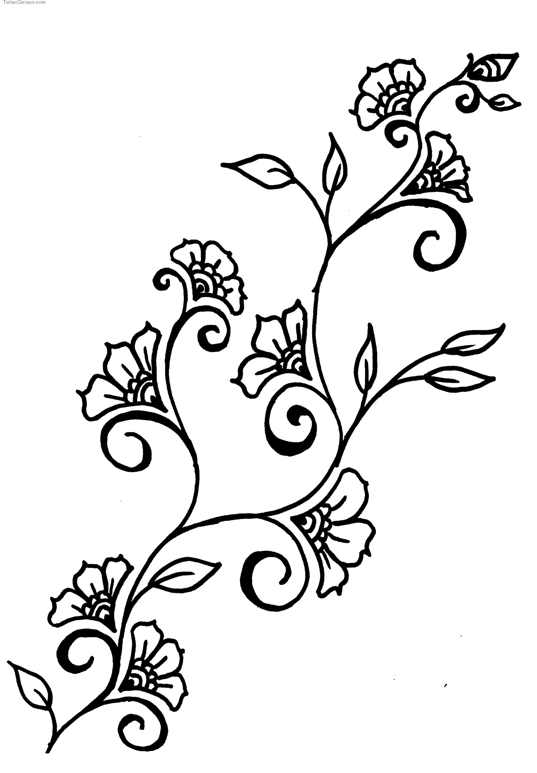Images For Flower Vine Drawing ClipArt Best ClipArt Best