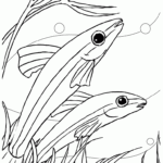 Jumping Fish Coloring Pages Coloring Home