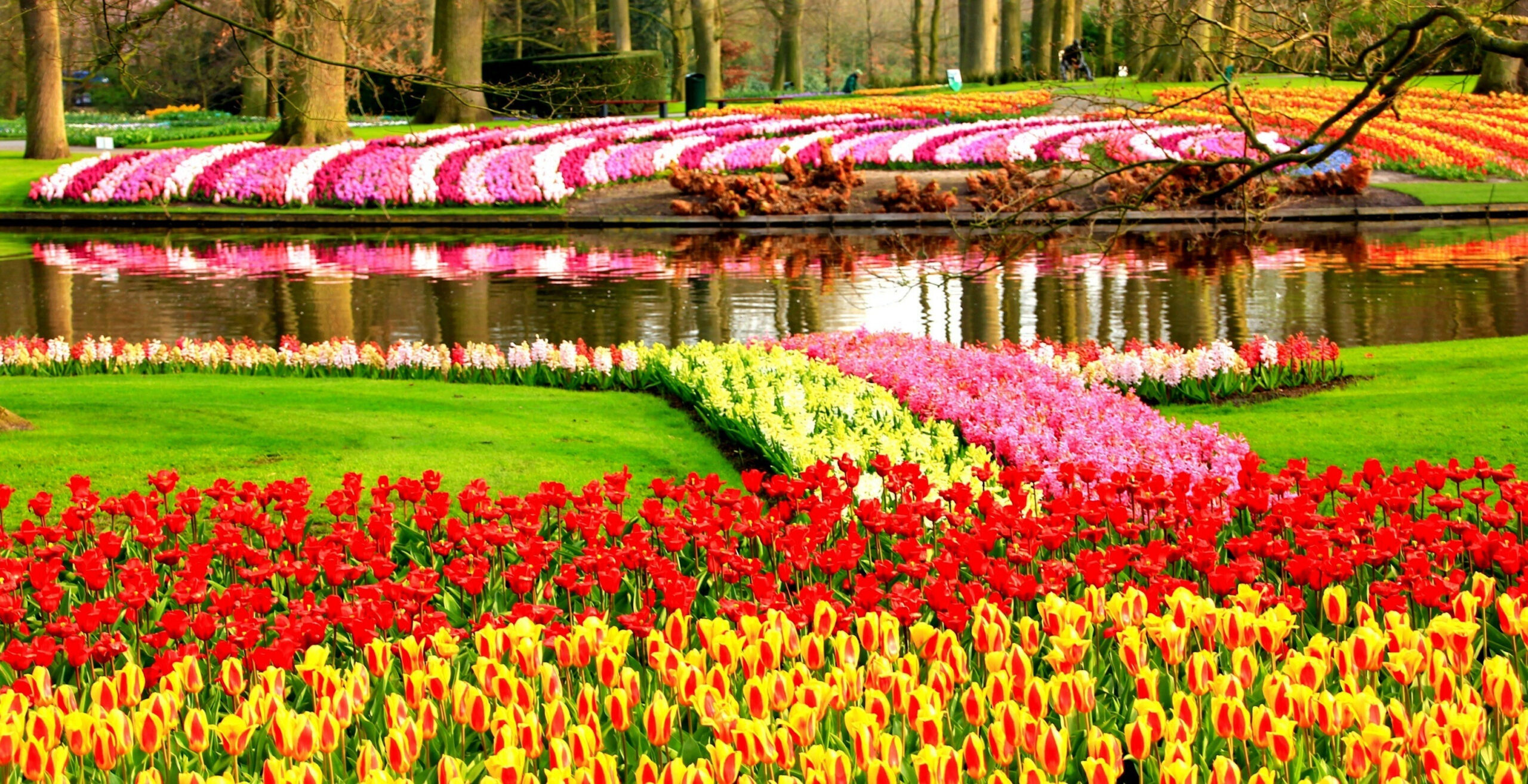 Keukenhof Flower Garden In Lisse City Netherland Wallpaper HD Wallpapers