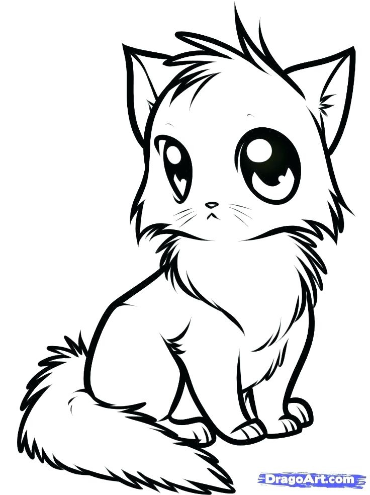 Kitten Coloring Pages To Print Out At GetColorings Free Printable 