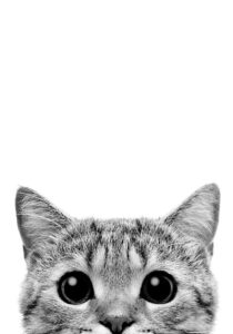 Kitty Peeks PRINTABLE Poster Black And White Minimalist Modern Print