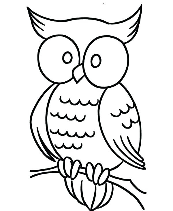 Large Print Coloring Pages For Adults At GetColorings Free 