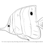 Learn How To Draw A Butterflyfish Fishes Step By Step Drawing Tutorials