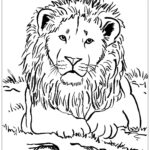 Lion To Print For Free Lion Kids Coloring Pages