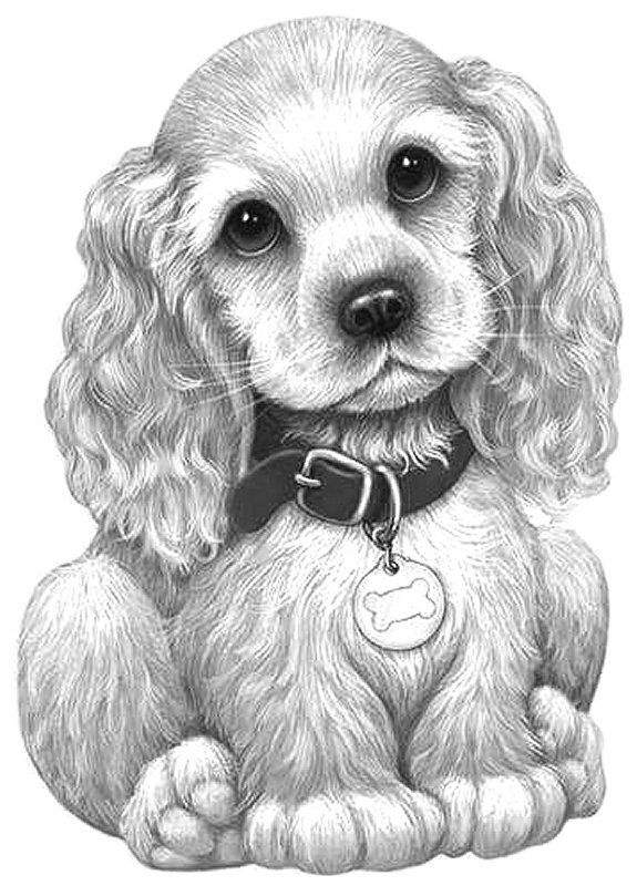 Long Haired Pup Dog Coloring Page Animal Drawings Grayscale Coloring