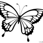 Mariposas Para Colorear Dibujos De Mariposas Dibujo Simple De Mariposa