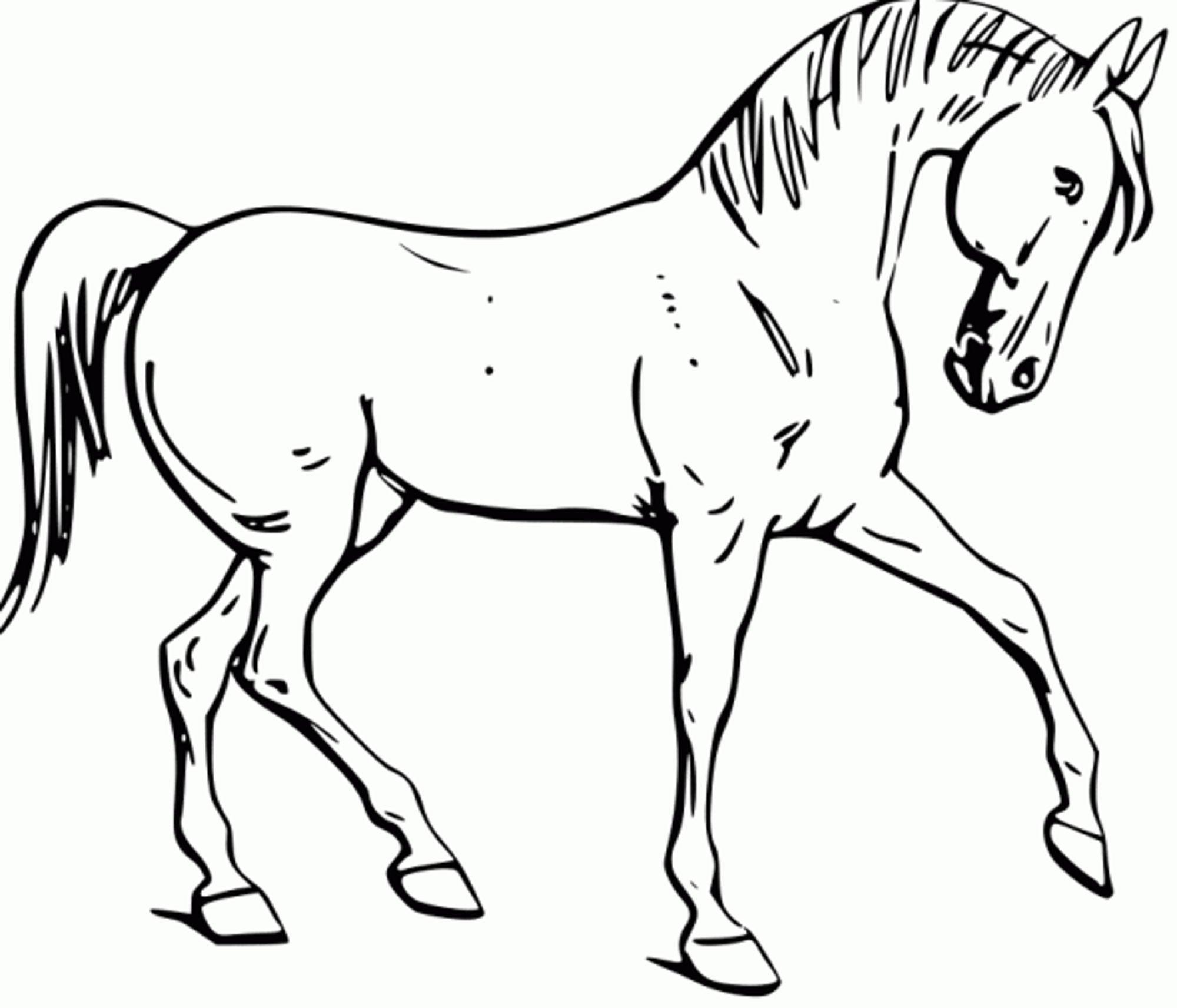 Mustang Horse Coloring Pages Printable At GetColorings Free 