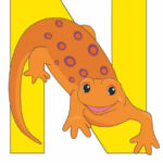 N Is For Newt Poster