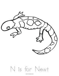 N Is For Newt Worksheet Twisty Noodle Book Twisty Noodle