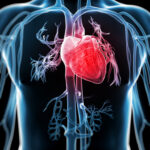 New Heart System Has Potential To Dramatically Reduce Open Heart