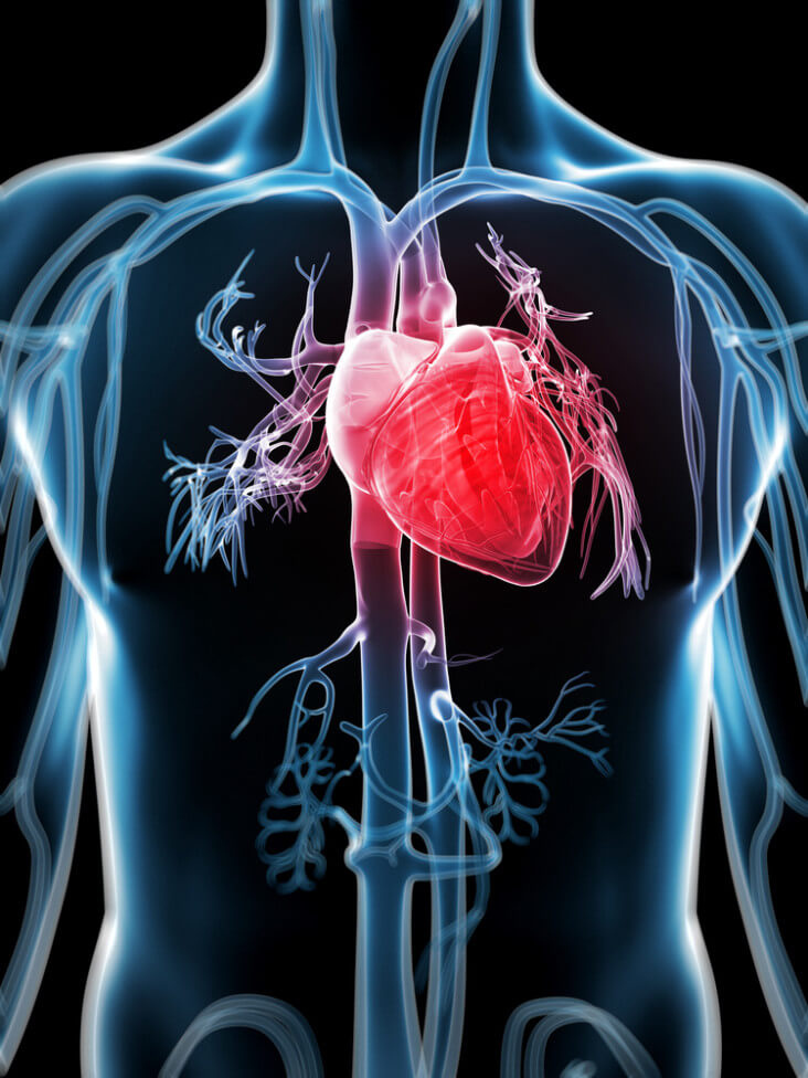 New Heart System Has Potential To Dramatically Reduce Open Heart 